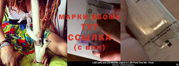 ГАЛЛЮЦИНОГЕННЫЕ ГРИБЫ Наволоки
