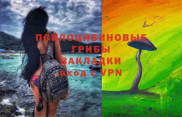 ГАЛЛЮЦИНОГЕННЫЕ ГРИБЫ Наволоки