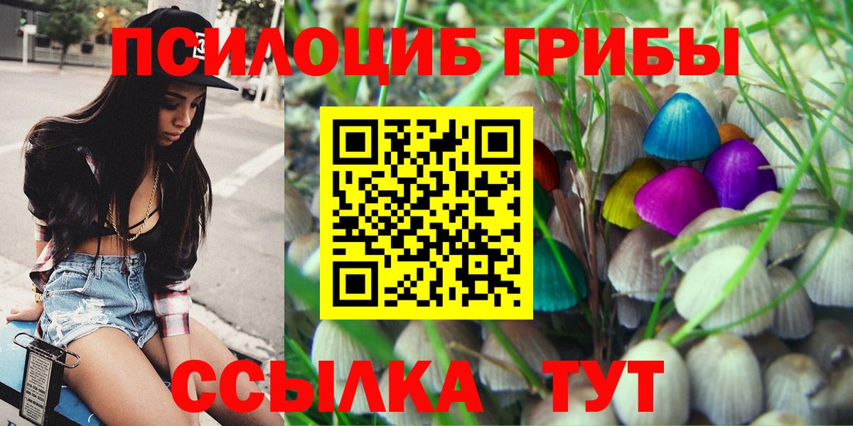 Псилоцибиновые грибы GOLDEN TEACHER Чернушка