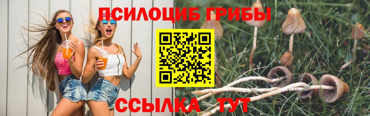 Галлюциногенные грибы мухоморы Чернушка