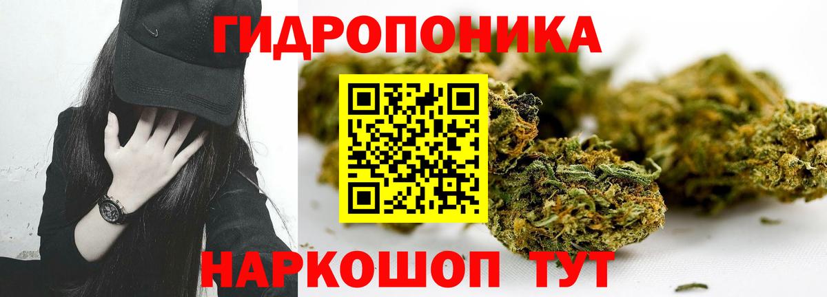 Канабис гибрид Чернушка